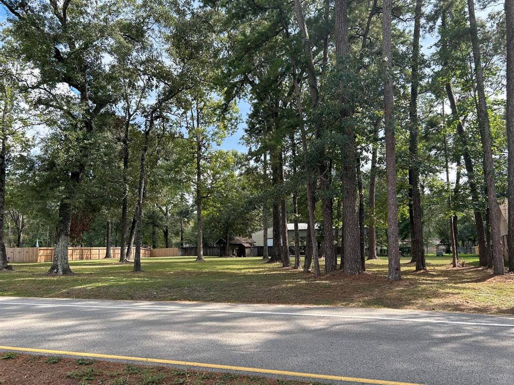 2006 Roman Forest Boulevard, New Caney, Texas image 4