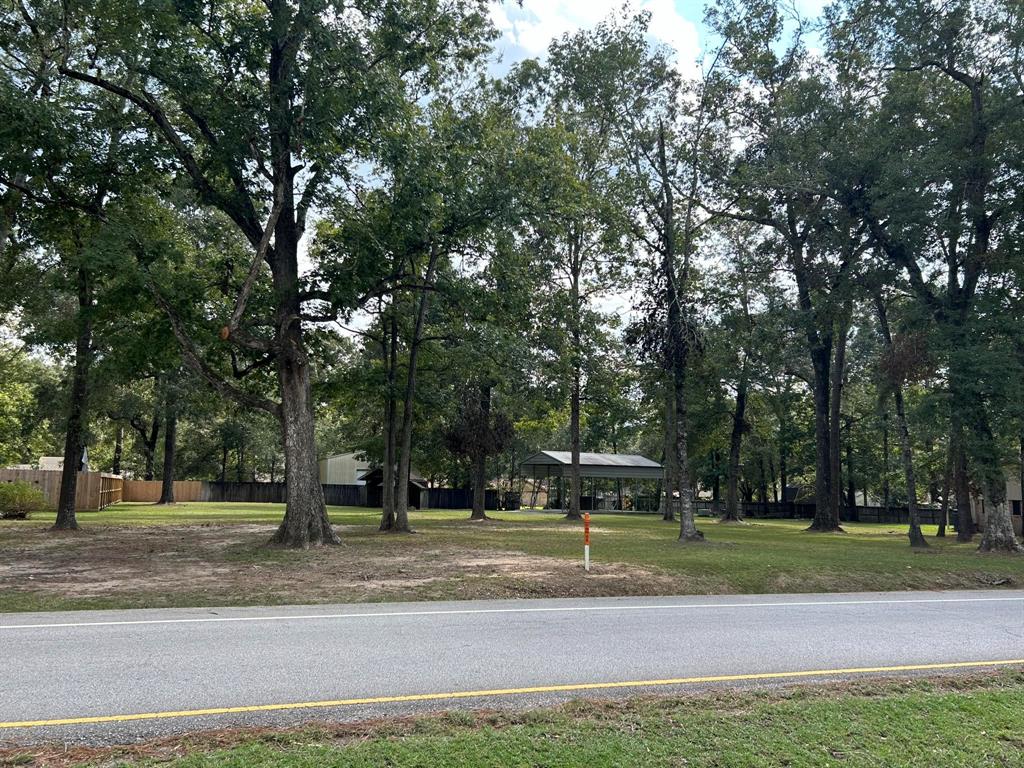 2006 Roman Forest Boulevard, New Caney, Texas image 9