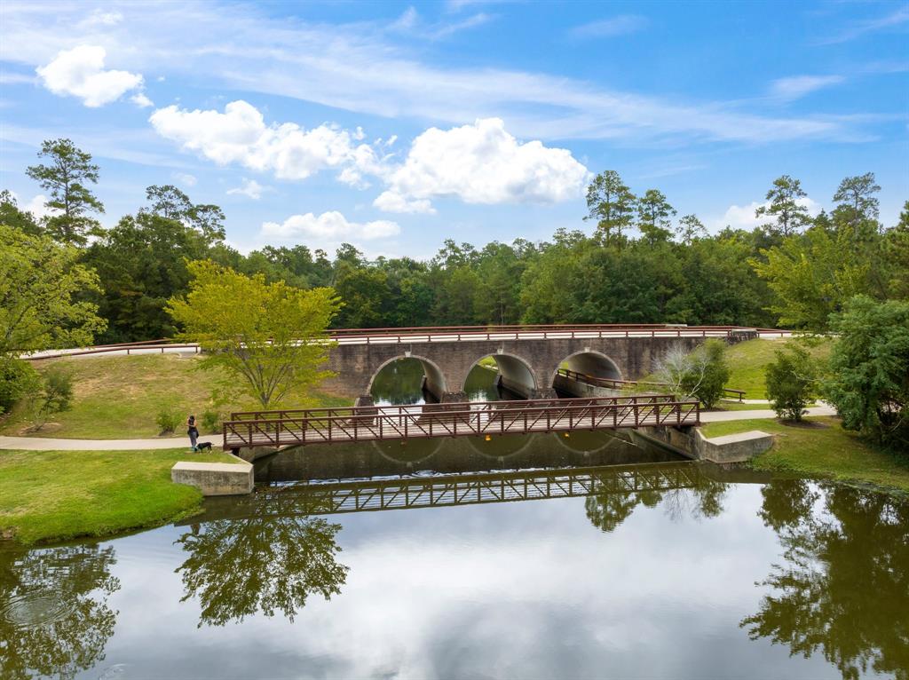 174 N Taylor Point Drive, The Woodlands, Texas image 30