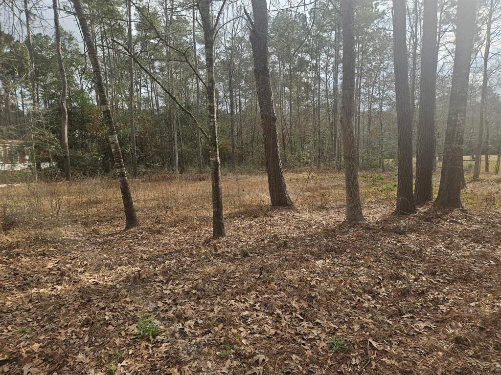 289 L Denson Road, Coldspring, Texas image 1