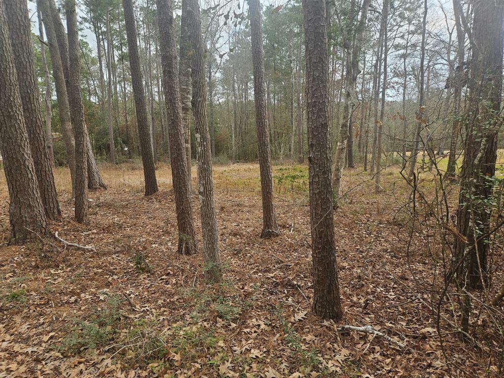 289 L Denson Road, Coldspring, Texas image 2