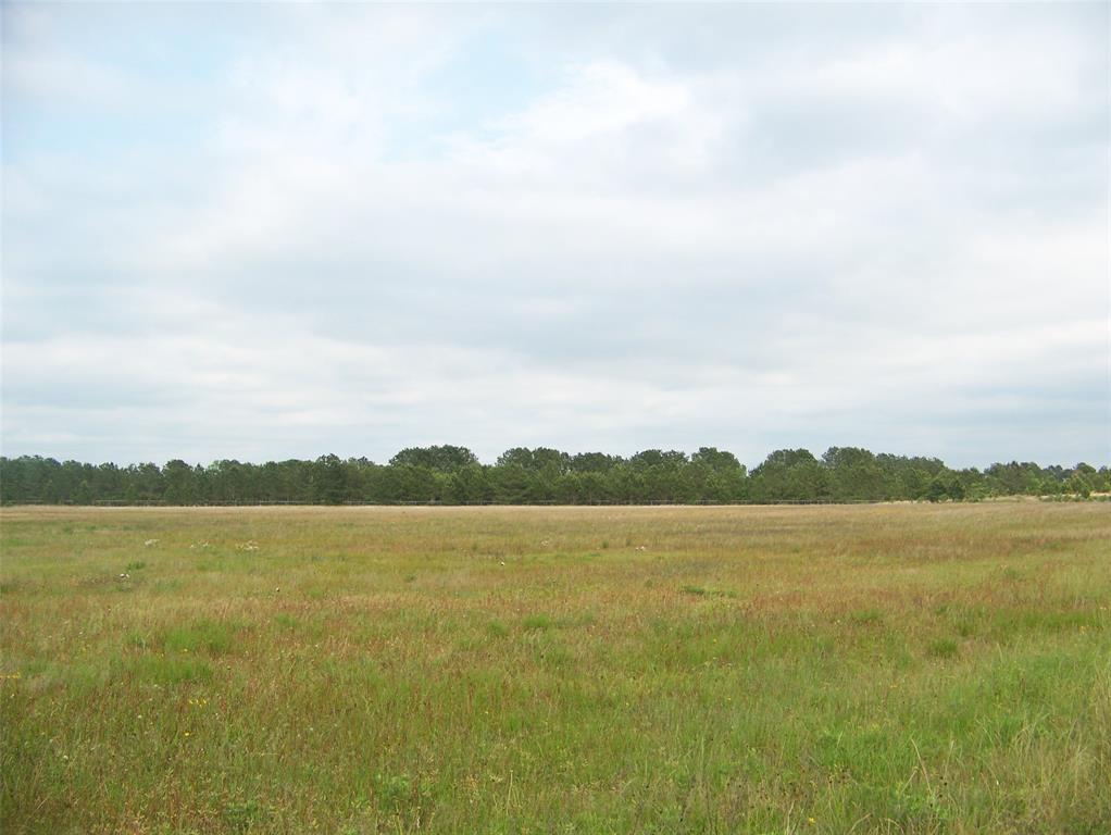 Fm 362 Road, Waller, Texas image 12