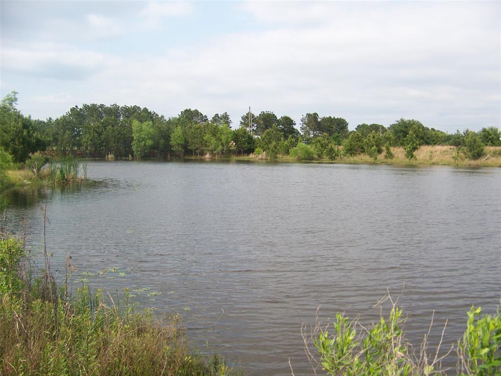 Fm 362 Road, Waller, Texas image 19