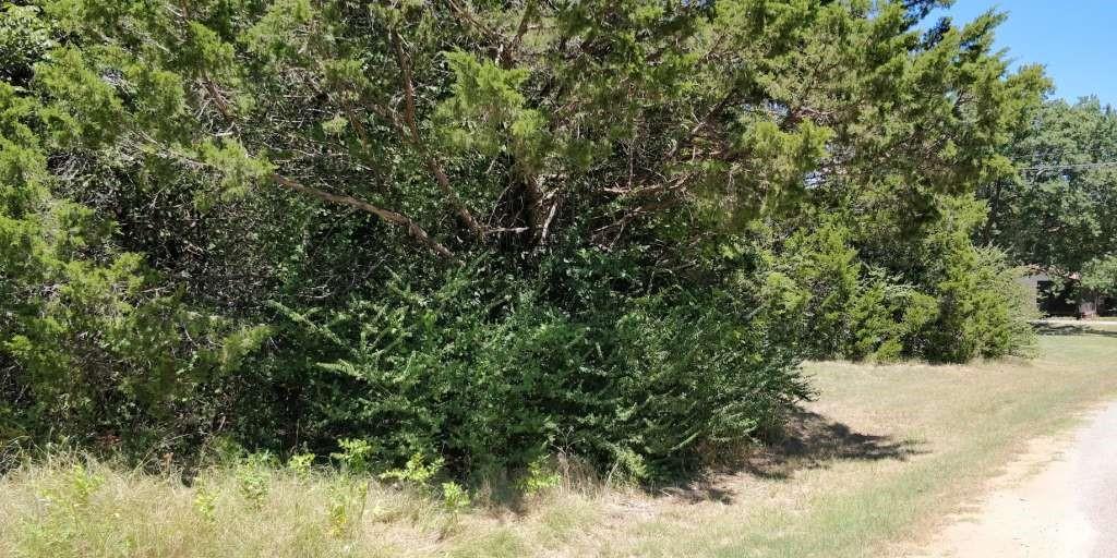 Lots 632 & 633 Shoshone Drive, Gordonville, Texas image 2