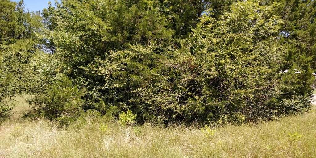 Lots 632 & 633 Shoshone Drive, Gordonville, Texas image 3