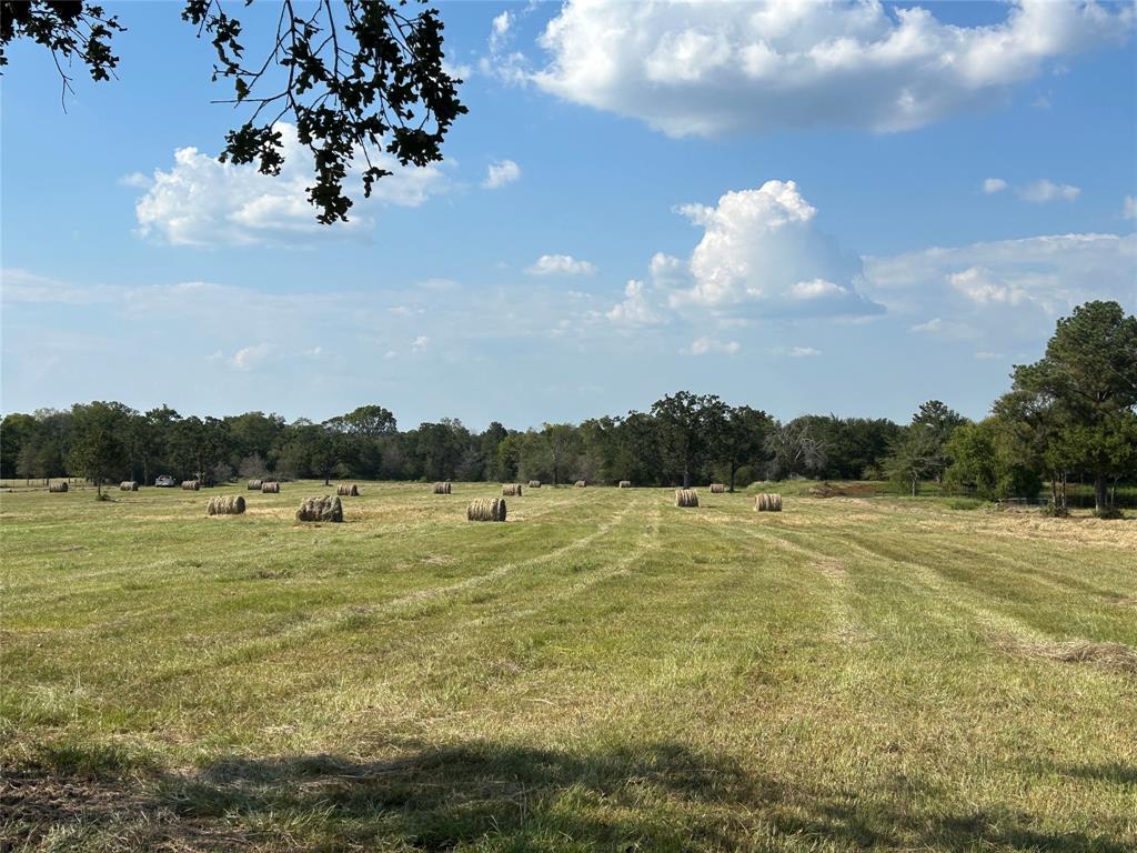 21608 Fm 2620 Road, Bedias, Texas image 47
