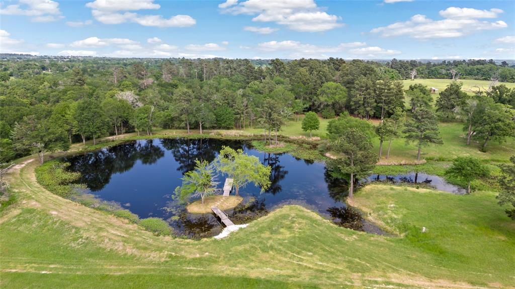 21608 Fm 2620 Road, Bedias, Texas image 32