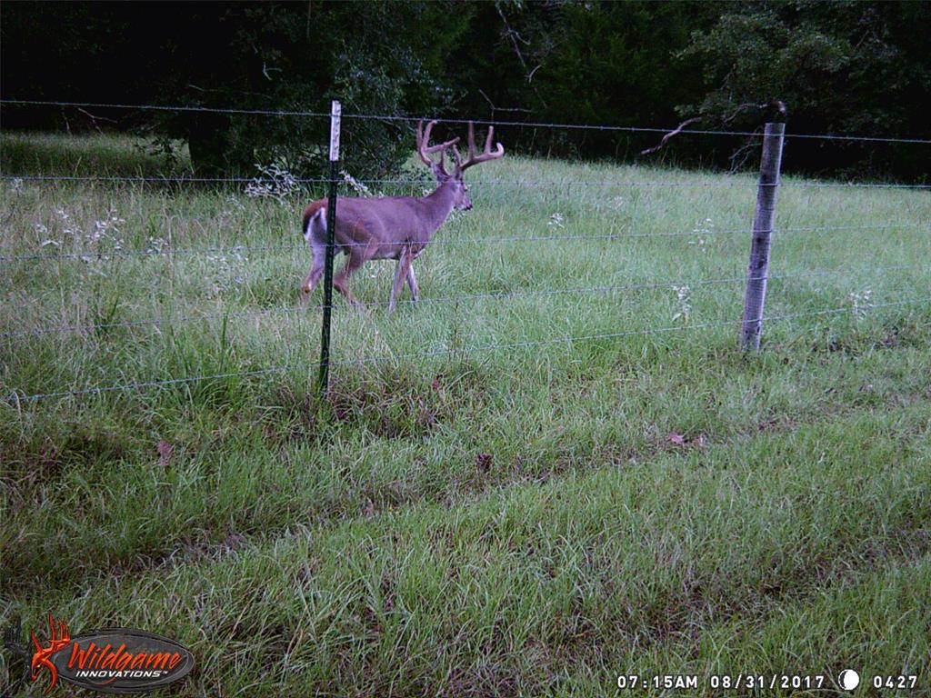 21608 Fm 2620 Road, Bedias, Texas image 46