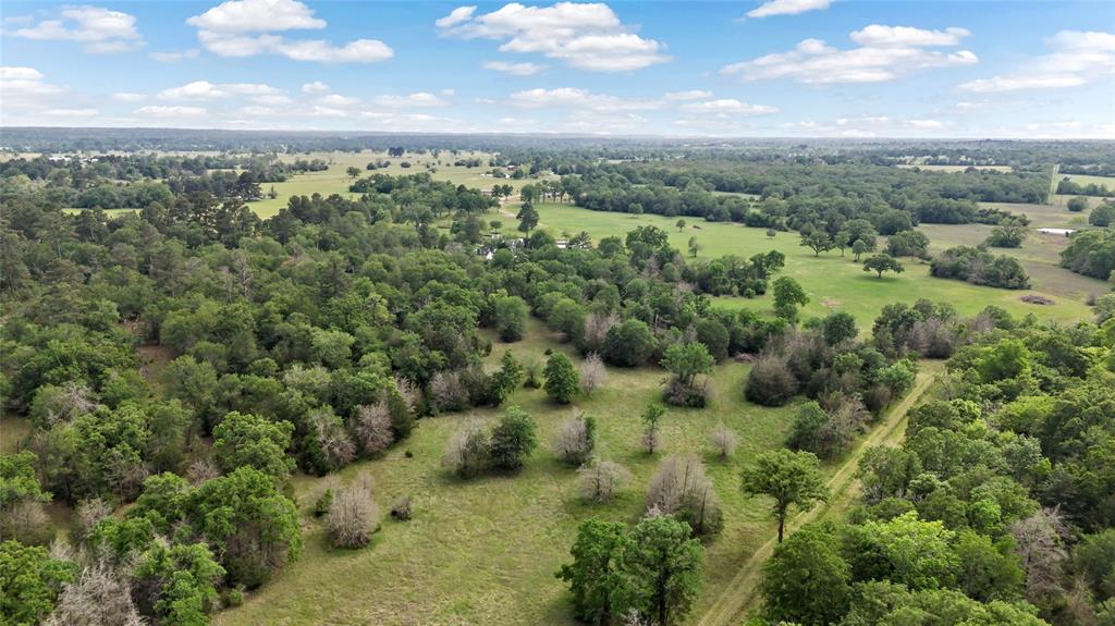 21608 Fm 2620 Road, Bedias, Texas image 38