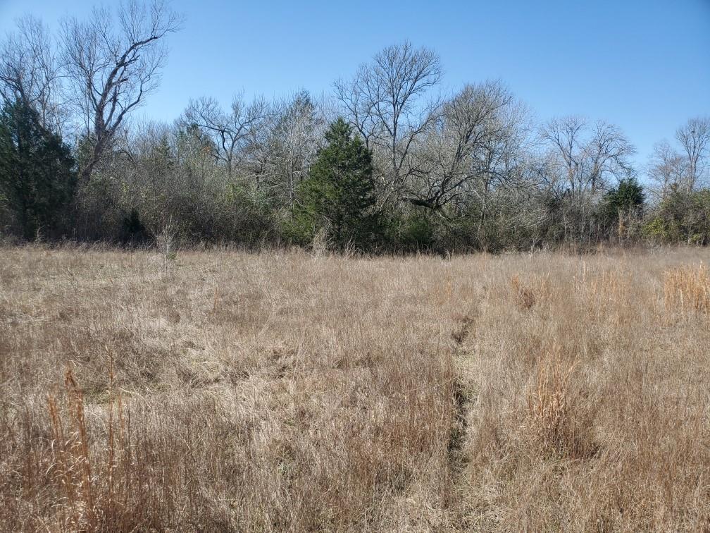 000 Fm 1774, Plantersville, Texas image 2