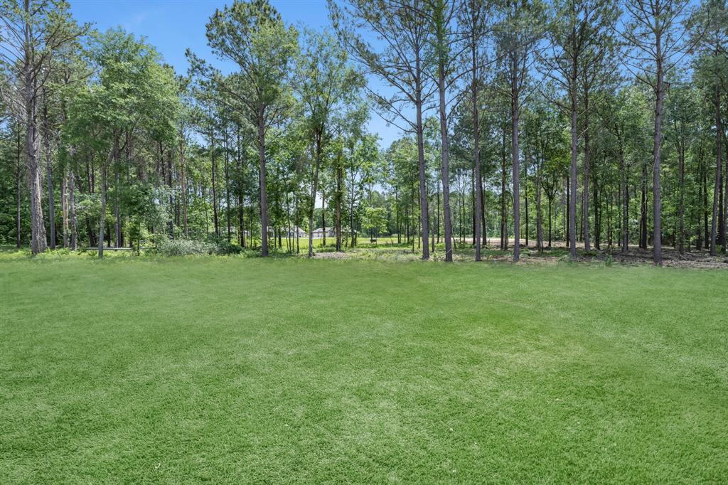 3041 Road 66124, Dayton, Texas image 38