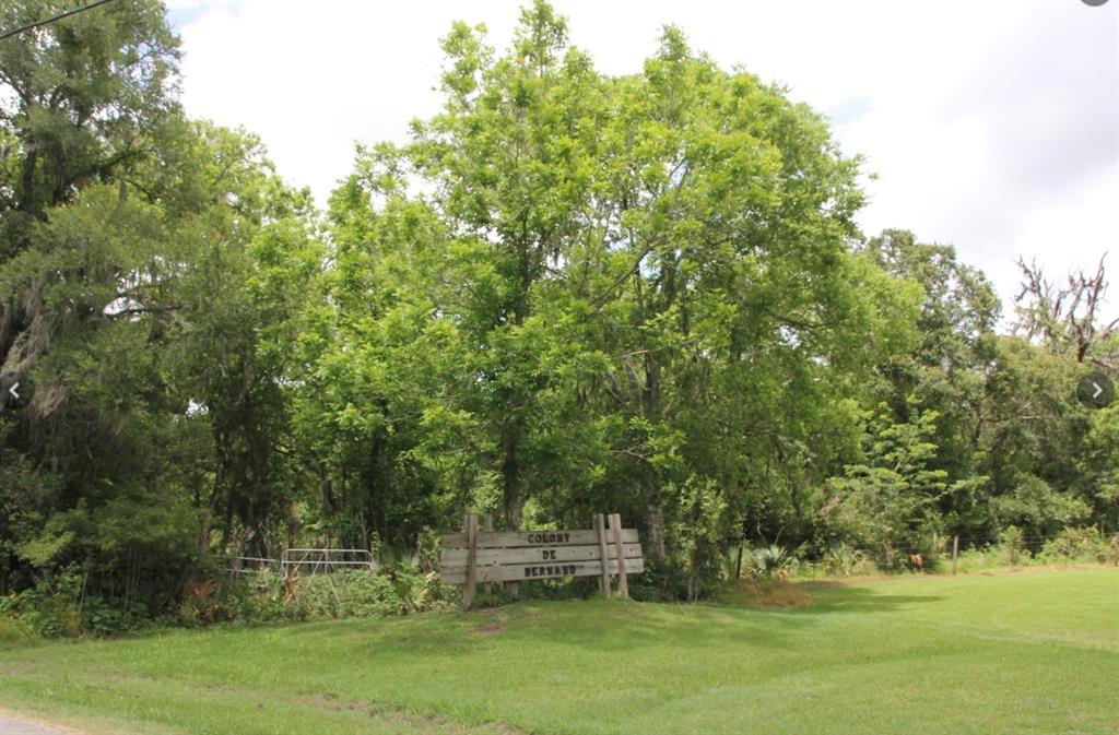 TBD County Road 825, West Columbia, Texas image 3