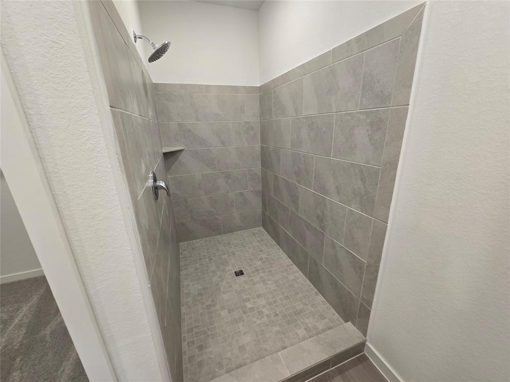 16542 Texas Palmetto Way, Hockley, Texas image 9