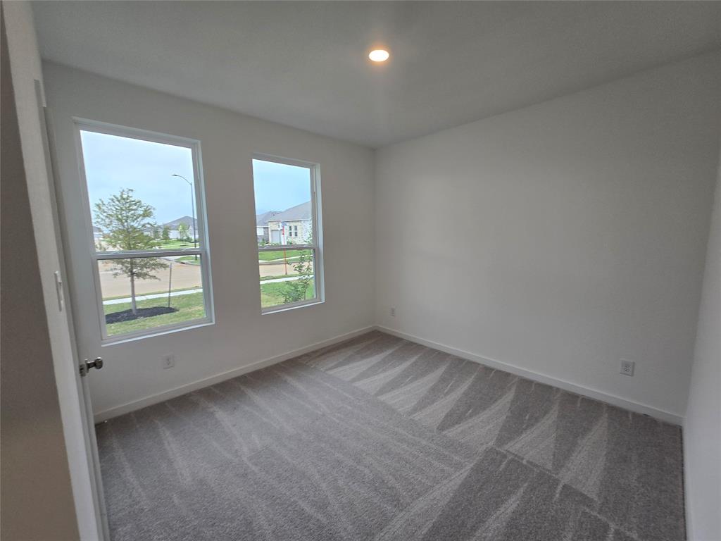 16542 Texas Palmetto Way, Hockley, Texas image 3