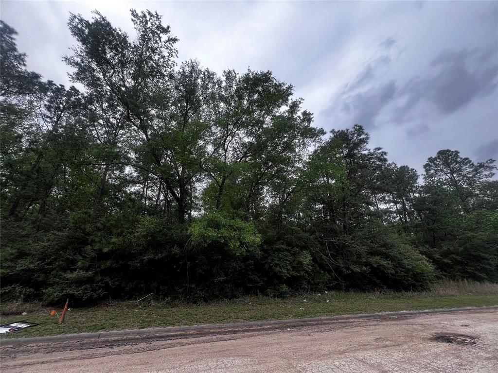 LOT 11 Continental Parkway, Humble, Texas image 3