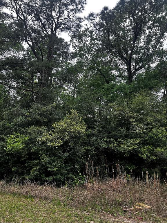 LOT 11 Continental Parkway, Humble, Texas image 4