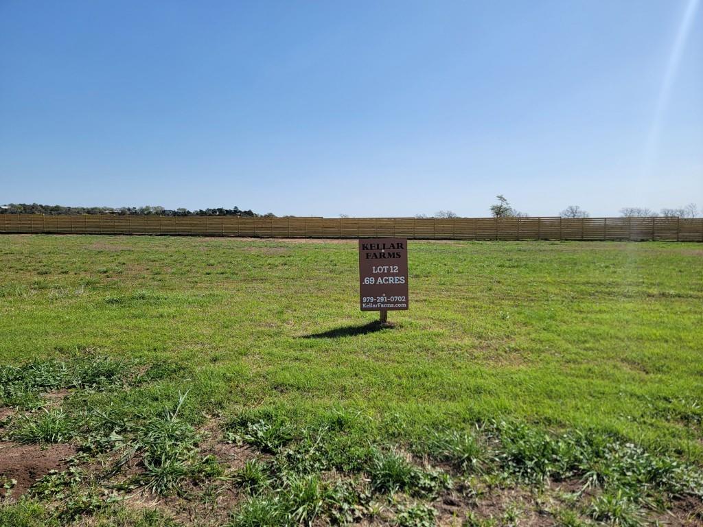 Lot 12 Hydrangea Drive, Smithville, Texas image 1
