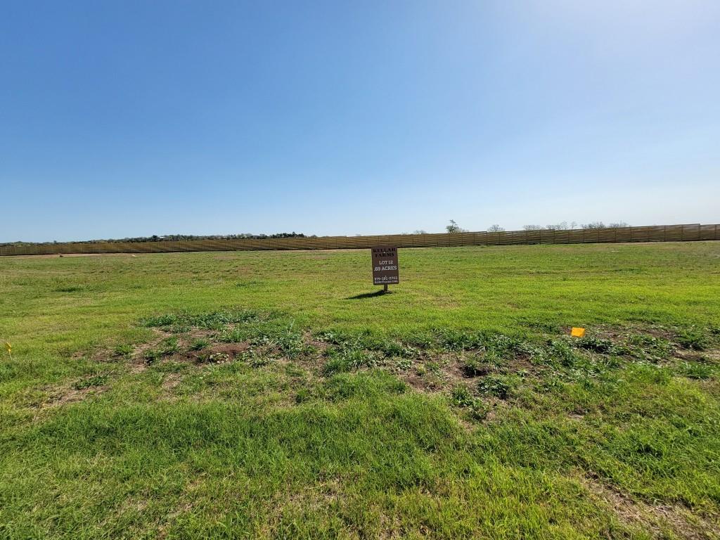 Lot 12 Hydrangea Drive, Smithville, Texas image 2