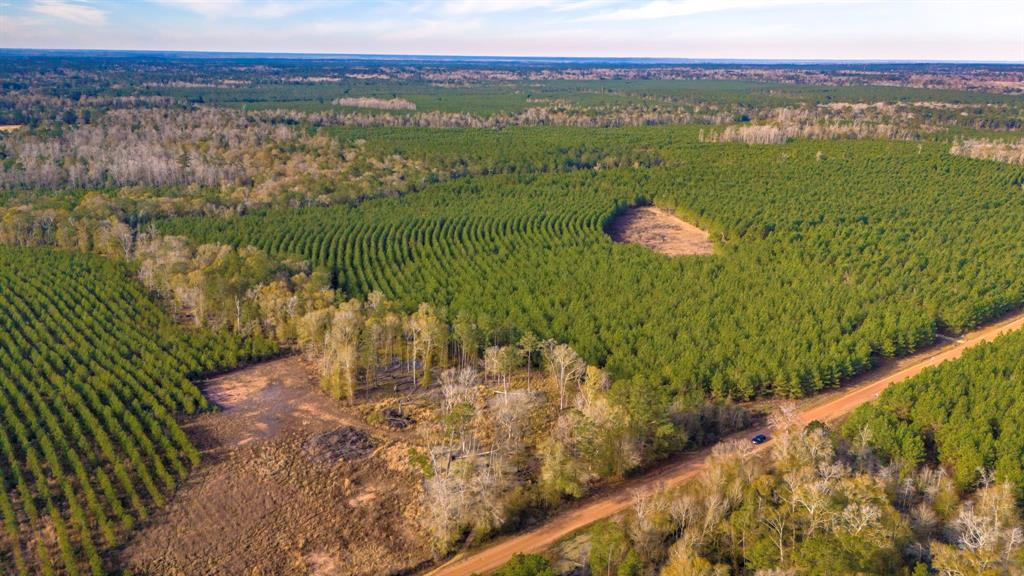 950 Tram Road, Livingston, Texas image 9