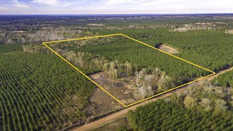 Photo of 950 Tram Road, Livingston, TX 77351 (MLS # 92805925)