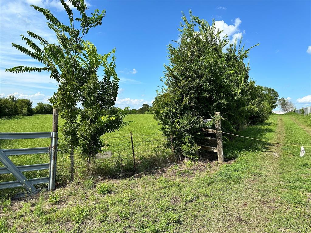 1320 Burleson Street, Brenham, Texas image 10