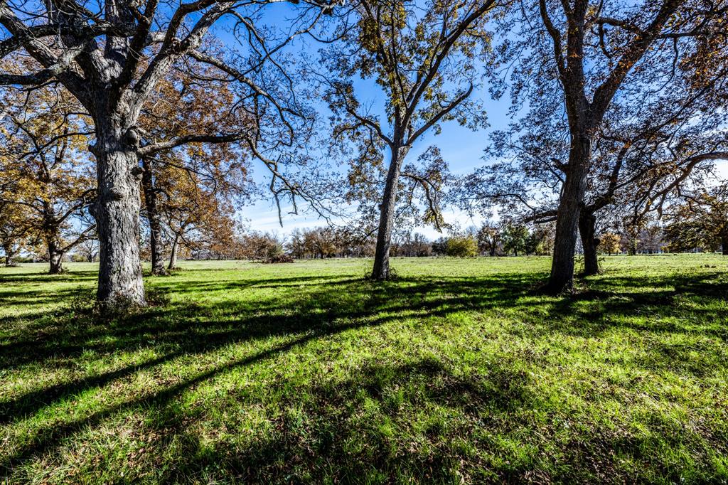TBD Fm 2528 S, Midway, Texas image 42