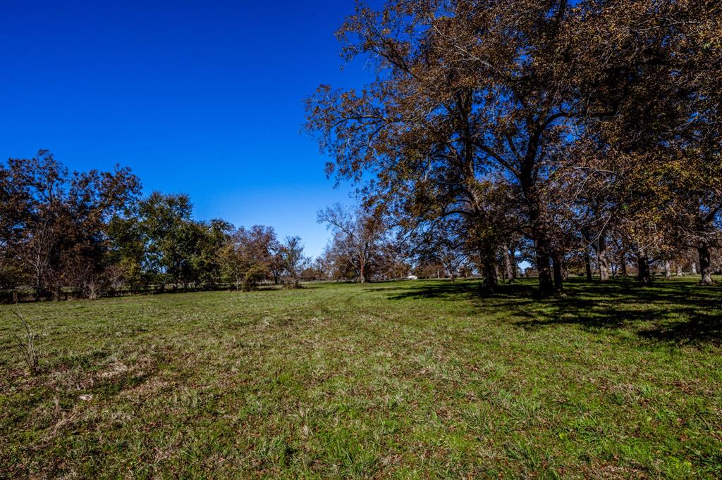 TBD Fm 2528 S, Midway, Texas image 46