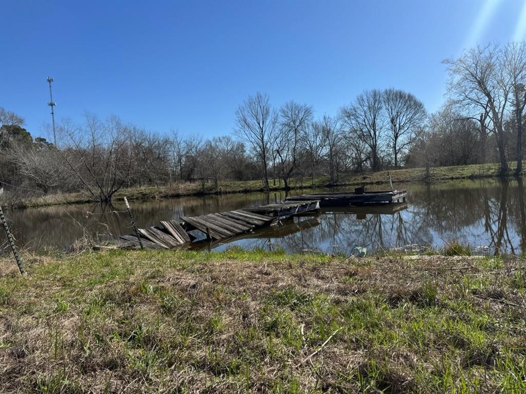 26541 Mock Lane, Montgomery, Texas image 1