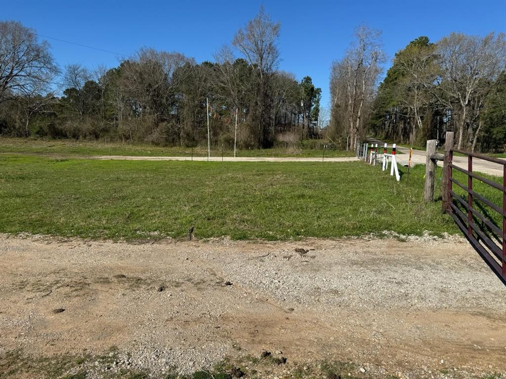 26541 Mock Lane, Montgomery, Texas image 18