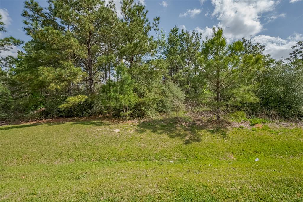 27203 Terra Run Court, Spring, Texas image 4