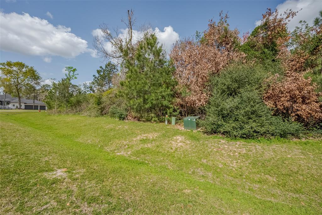 27203 Terra Run Court, Spring, Texas image 5