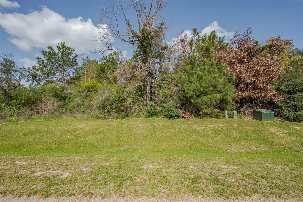 27203 Terra Run Court, Spring, Texas image 7