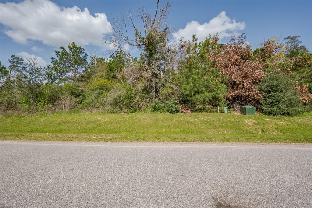 27203 Terra Run Court, Spring, Texas image 14