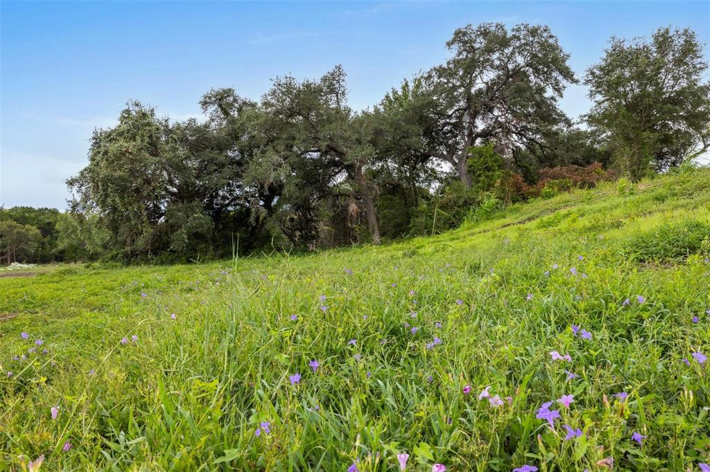 TBD Wendy Lane-lot 14, Round Top, Texas image 3