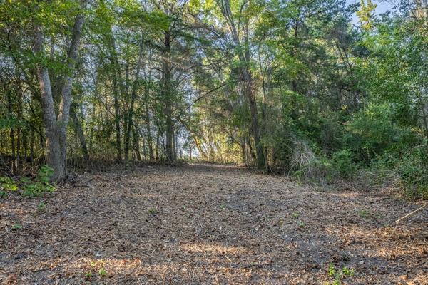 TBD Wendy Lane-lot 14, Round Top, Texas image 5