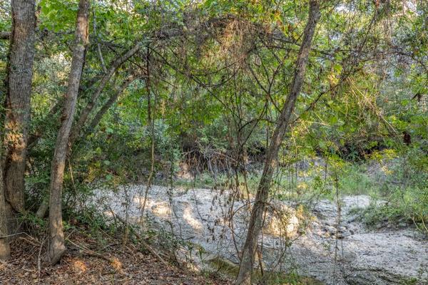 TBD Wendy Lane-lot 14, Round Top, Texas image 6