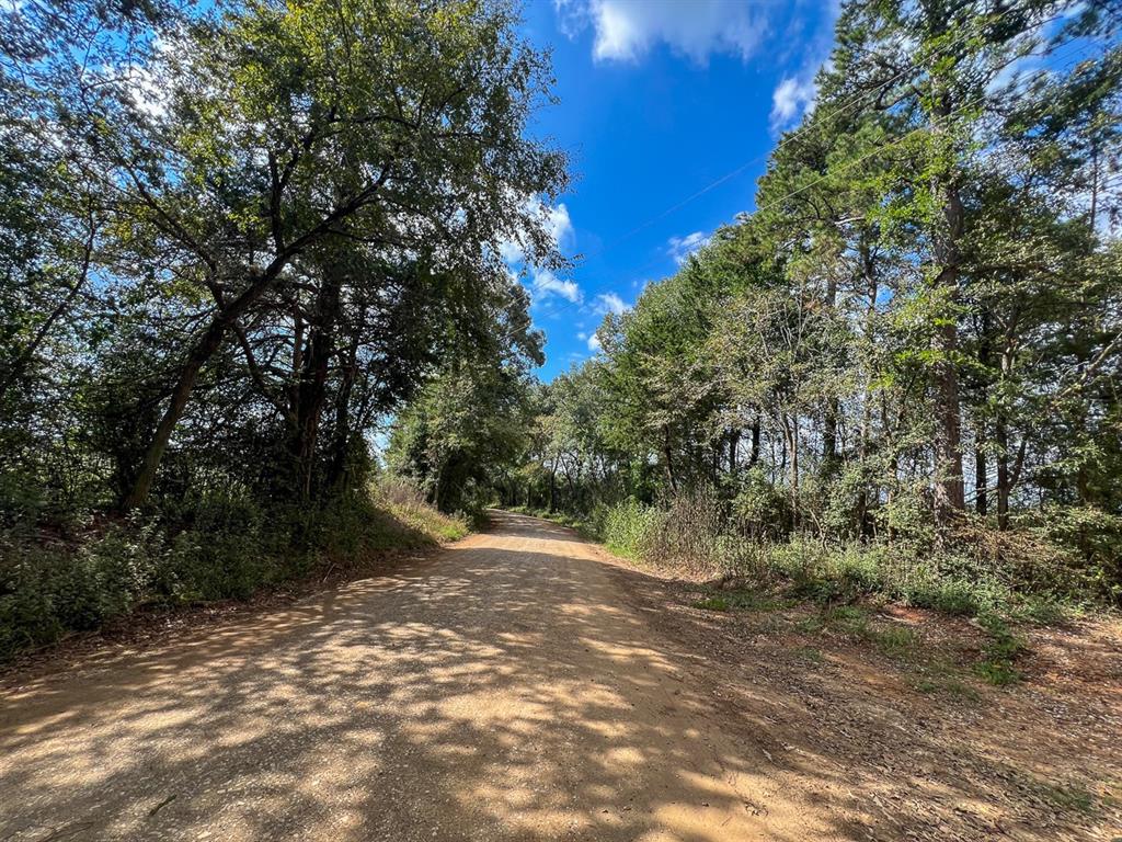 7 Cr 4916, Timpson, Texas image 15