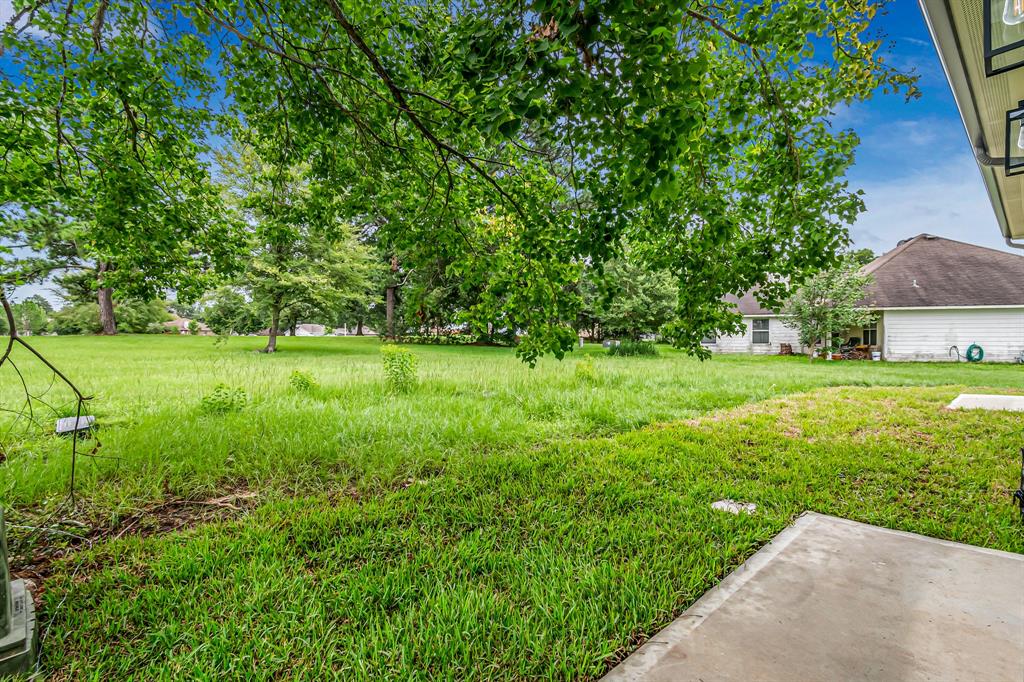 14833 Spica Court, Willis, Texas image 29