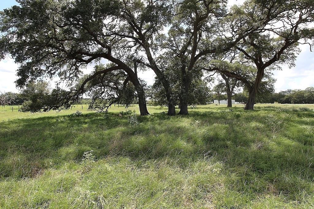 1801 Fm 1383, Schulenburg, Texas image 9