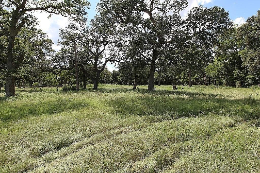 1801 Fm 1383, Schulenburg, Texas image 11