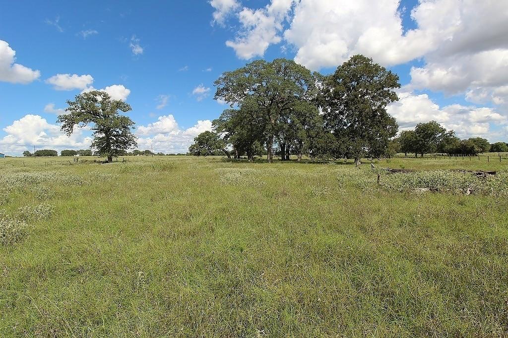 1801 Fm 1383, Schulenburg, Texas image 8