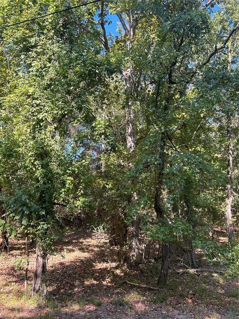 Vacant Land For Sale - TBD Joanna Hill<br/> Livingston, TX 77351
