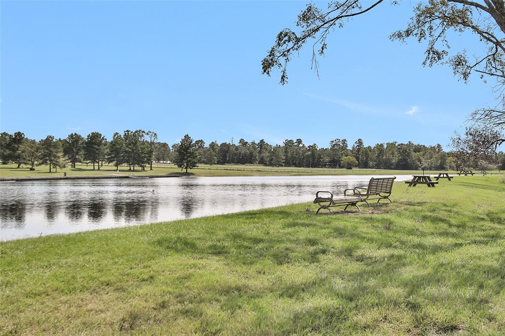 16049 Forest Mill Road, Willis, Texas image 8