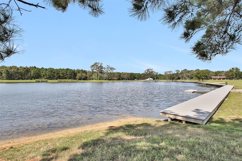 16049 Forest Mill Road, Willis, Texas image 11