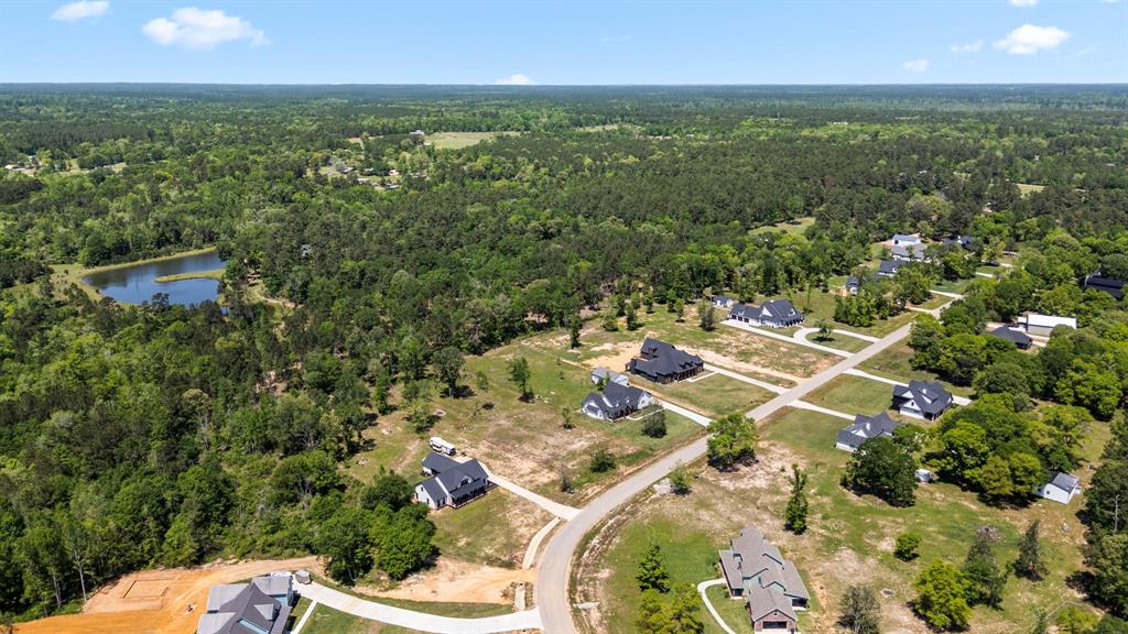 110 Quiet Springs Trail, Willis, Texas image 49
