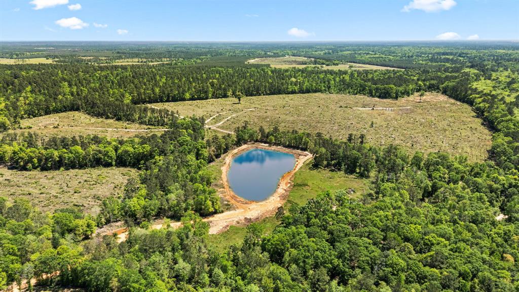 110 Quiet Springs Trail, Willis, Texas image 50