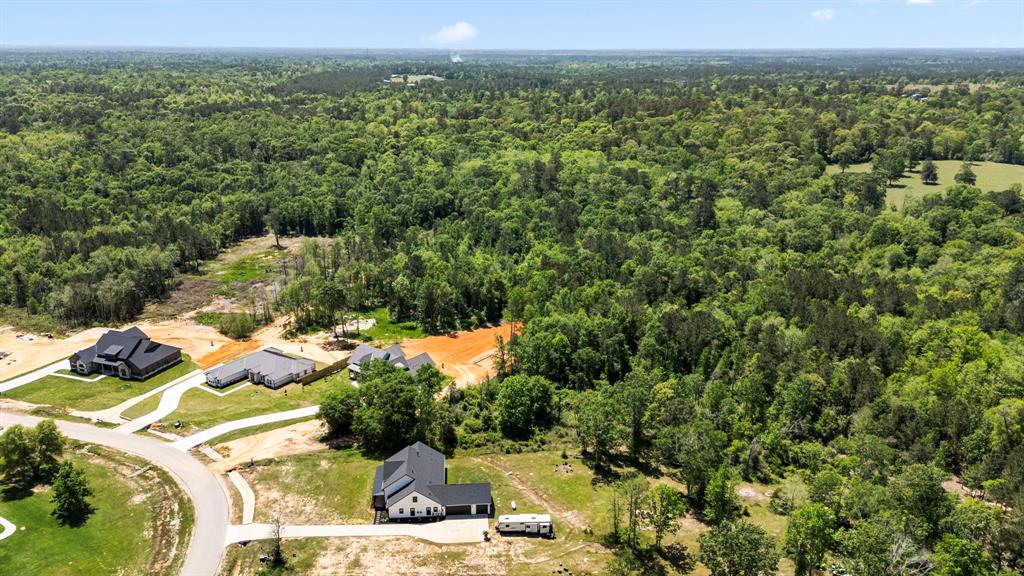 110 Quiet Springs Trail, Willis, Texas image 46