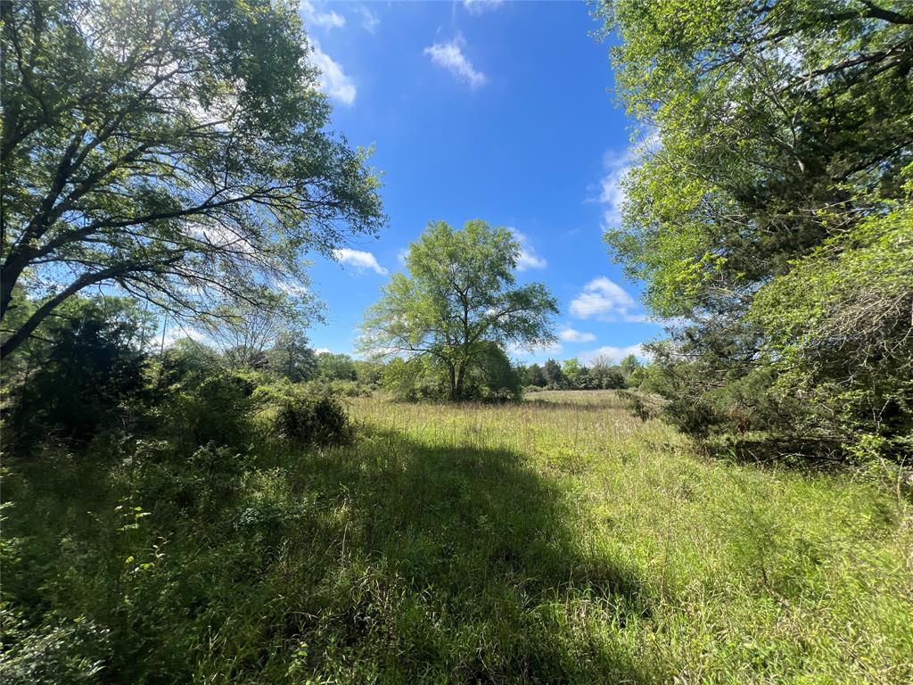 768 Meadow Bend Road, Bellville, Texas image 1