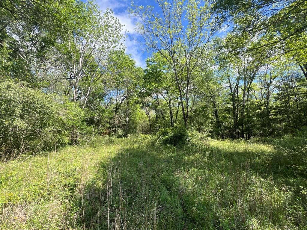 768 Meadow Bend Road, Bellville, Texas image 12