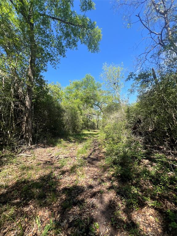 768 Meadow Bend Road, Bellville, Texas image 8